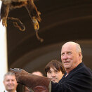 An eagle lands on King Harald's arm during a demonstration of traditional hunting with birds of prey (Photo: Peter Hudec, EPA / Scanpix) 